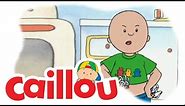 Caillou - Caillou's Teddy Shirt (S01E16) | Cartoon for Kids