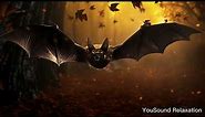 8hours Repellent Anti Bat Sounds | Ultrasonic Sound | Protect Your Home from Bats | Get rid of Bats
