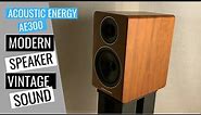 Acoustic Energy AE300 Speaker Review