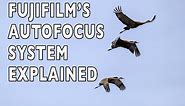 The Fujifilm X-Series Autofocus System Explained