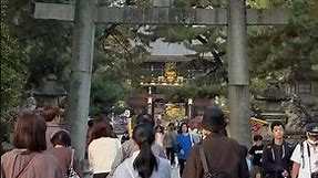 Kyoto's Kitano Tenmangu Shrine #北野天満宮 #walkingtour #kyoto #japan #shrine