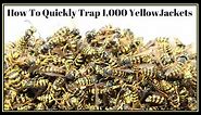 How To Quickly Trap 1,000 YellowJackets In Just Hours. Mousetrap Monday