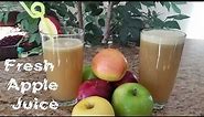 Fresh Apple Drink | Organic Apple Juice | Multi Apple Homemade Juice | how to make apple juice
