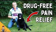 Treat Your Dog's Pain and Arthritis Without Drugs - Veterinarian explains