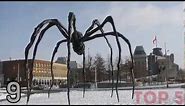 5 GIANT SPIDERS CAUGHT ON CAMERA & SPOTTED IN REAL LIFE!