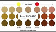 Color Theory: Warm Brown vs Cool Brown