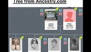 How to Print Your Family Tree from Ancestry com