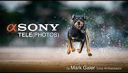 Sony's Best Telephoto Lenses