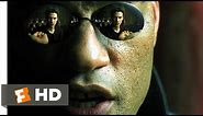 Blue Pill or Red Pill - The Matrix (2/9) Movie CLIP (1999) HD
