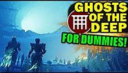 Destiny 2: GHOSTS Of The DEEP FOR DUMMIES! | Complete Dungeon Guide & Walkthrough!