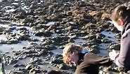 Girl with boot stuck in mud slips and falls into massive muddy puddle 🤣 🎥 Contentbible
