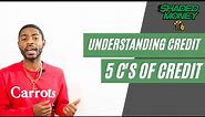 Understanding Credit: 5 C's of Credit EXPLAINED
