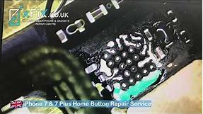 iPhone 7/8 Home Button Not Working/Touch ID Repair - Turtle/U10 IC Replacement - xFix.co.uk