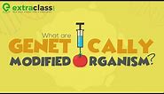 What are Genetically Modified Organism? | Biology | Extraclass.com
