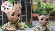This Baby Groot Planter Is More Than 40% Off on Amazon Right Now