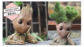 This Baby Groot Planter Is More Than 40% Off on Amazon Right Now