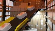 Unloading & Loading Telescopic Conveyor