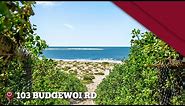 Beachfront Property For Sale Central Coast NSW - Noraville Wiseberry Heritage Real Estate