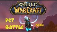WoW: Pet Battle - Brok