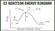 E2 Reaction Coordinate Energy Diagram