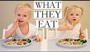 What Our VEGAN/PLANT-BASED Children Eat (PART 1/2)