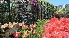 BEAUTIFUL FLOWER GARDEN for relaxing & healing “Yokohama English Garden” in Yokohama Japan｜4K
