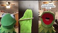 Funniest Kermit on TikTok Videos Compilation, Best kermitontiktok 2023