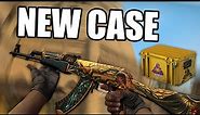 NEW CS:GO CASE! The Fracture Collection. Are The Skins Good?