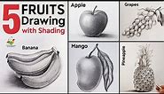 5 Realistic Fruits Apple, Mango, Banana, Grapes, Pineapple Drawing Pencil Shading 3D Art Tutorial