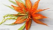 Wet Felting (Spiky Orange Flower Tutorial)