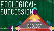 Ecological Succession: Change is Good - Crash Course Ecology #6