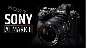 Sony A1 Mark II - Finally A Flagship Camera?