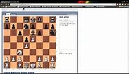 Chess Lessons: Free Shredder Chess