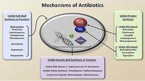 Mechanisms and Classification of Antibiotics (Antibiotics - Lecture 3)