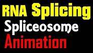 RNA Splicing Animation | spliceosome mediated splicing