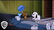 Tom & Jerry's Greatest Chases | Volume 5 | Guilty | Warner Bros. Entertainment