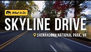 Explore Skyline Drive and Skyland Resort in Shenandoah National Park | Get Out of Town