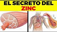 Esto no sabías del ZINC - Beneficios Y Usos Del Zinc Para Tu Salud Y Belleza