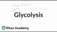 Overview of glycolysis | Cellular respiration | Biology | Khan Academy