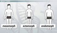 Body Types | Mesomorph, Ectomorph & Endomorph