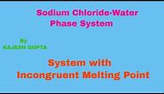 Sodium Chloride-Water Phase Diagram