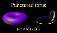 Punctured torus homeomorphism