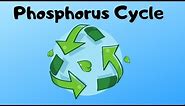 Phosphorus Cycle Steps