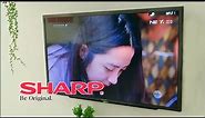 SHARP LED TV 32 Inch HD - 2T-C32BA2i