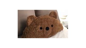 Teddy Bear Pillow Pattern by Fat Lady Crochet