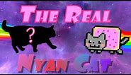 The REAL Nyan Cat (Animation)