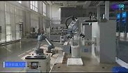 Composite Robot - All-in-One with AGV/AMR and Robot Arm