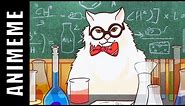 CHEMISTRY CAT