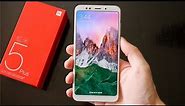 Xiaomi Redmi 5 Plus Review: My First Experience With Xiaomi!