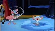 The Pinky And The Brain - brain is dancing
